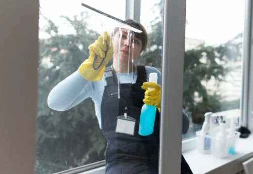Nettoyage de vitres intérieures et extérieures à Bathernay